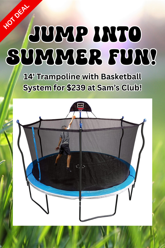 sams club finds , deals, and mom stuff